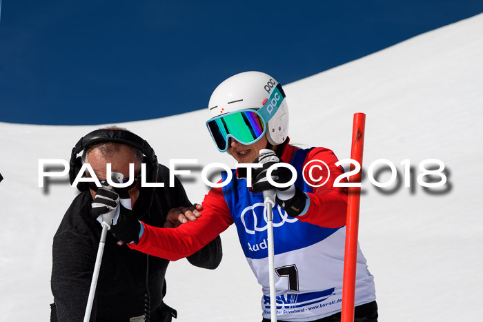 Ski Golf Masters 2018, Riesenslalom