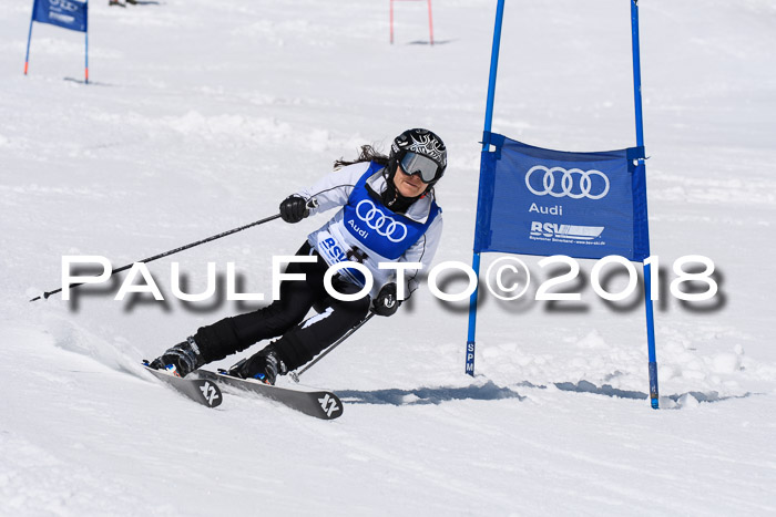 Ski Golf Masters 2018, Riesenslalom