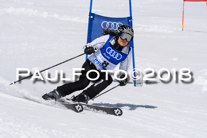Ski Golf Masters 2018, Riesenslalom