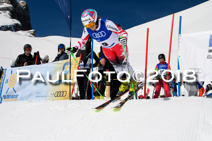Ski Golf Masters 2018, Riesenslalom