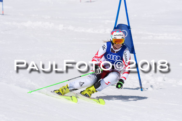 Ski Golf Masters 2018, Riesenslalom