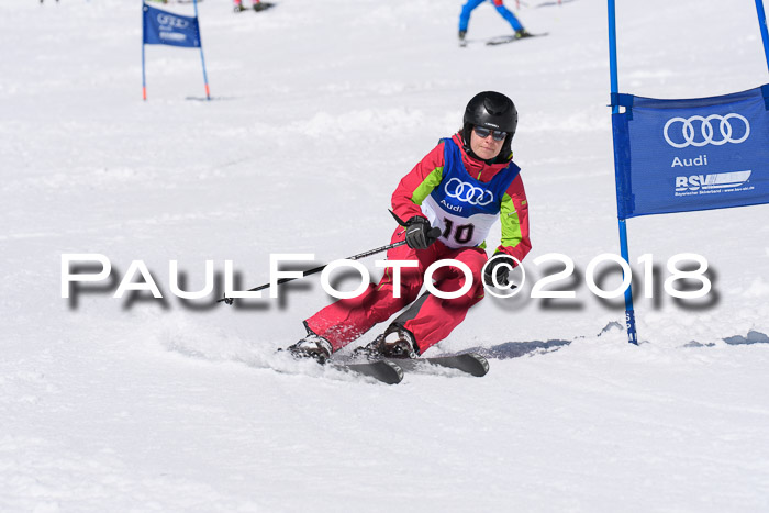 Ski Golf Masters 2018, Riesenslalom