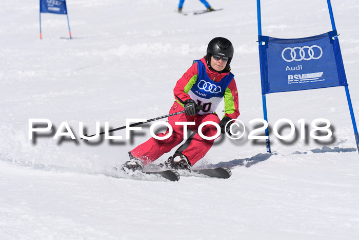Ski Golf Masters 2018, Riesenslalom
