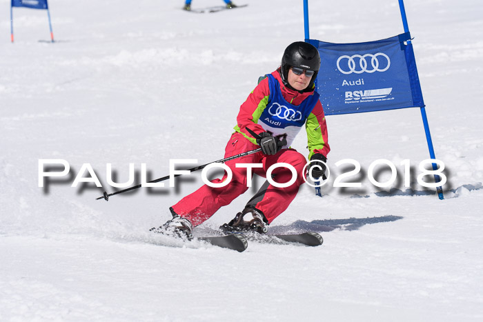 Ski Golf Masters 2018, Riesenslalom