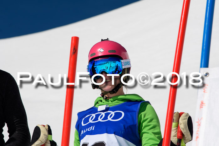 Ski Golf Masters 2018, Riesenslalom