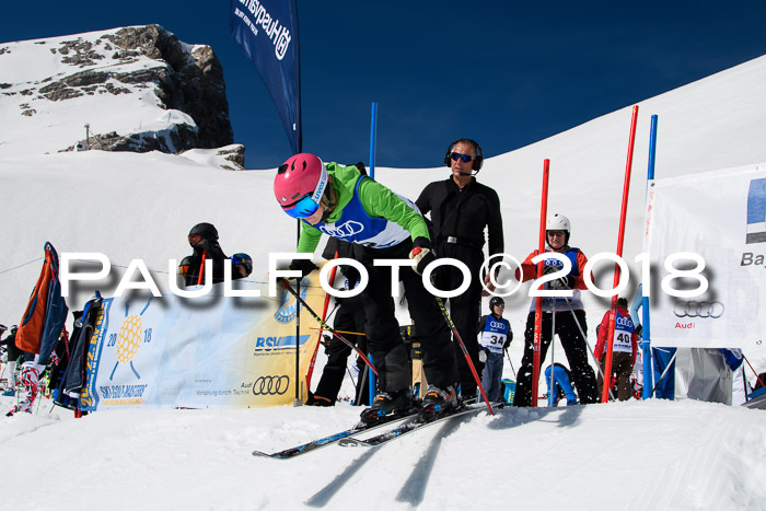 Ski Golf Masters 2018, Riesenslalom