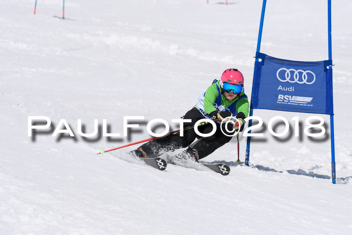 Ski Golf Masters 2018, Riesenslalom