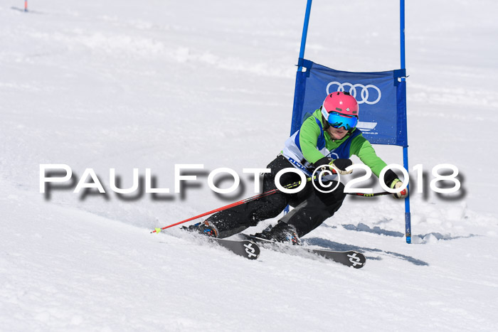 Ski Golf Masters 2018, Riesenslalom