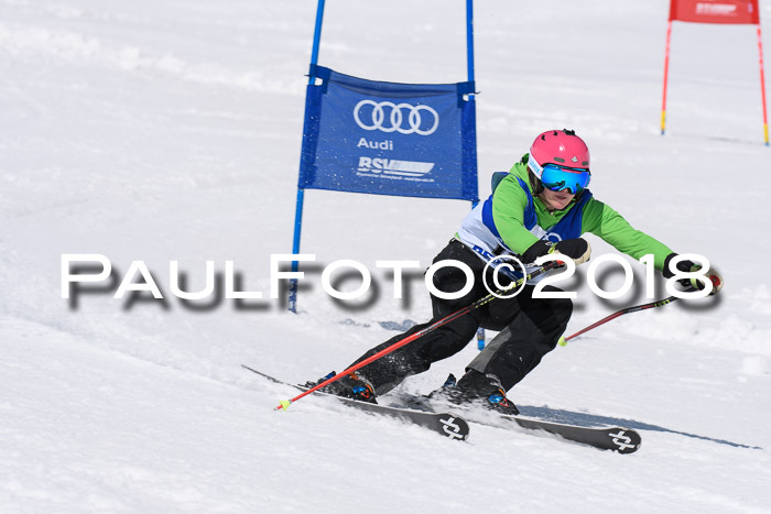 Ski Golf Masters 2018, Riesenslalom