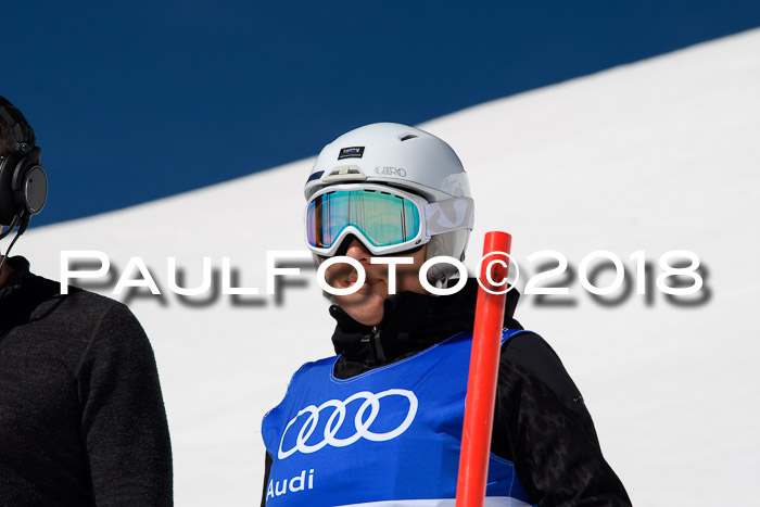 Ski Golf Masters 2018, Riesenslalom