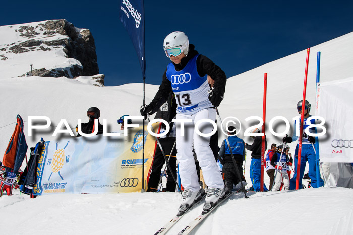 Ski Golf Masters 2018, Riesenslalom