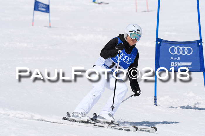Ski Golf Masters 2018, Riesenslalom