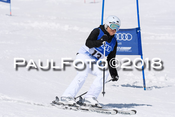 Ski Golf Masters 2018, Riesenslalom