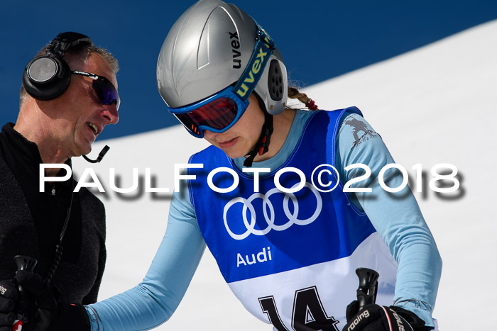 Ski Golf Masters 2018, Riesenslalom