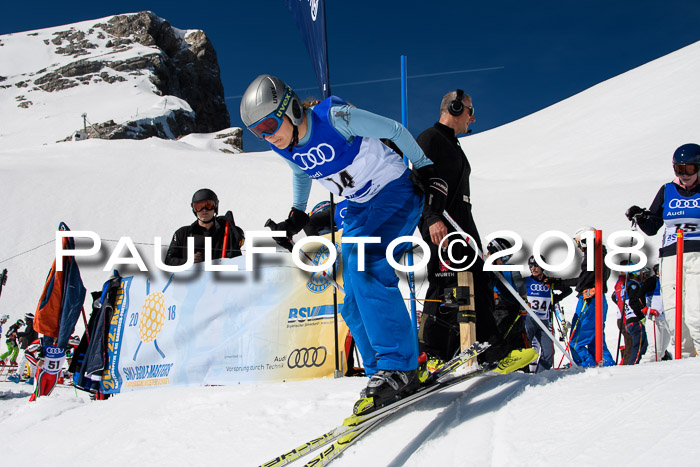 Ski Golf Masters 2018, Riesenslalom