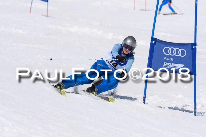 Ski Golf Masters 2018, Riesenslalom
