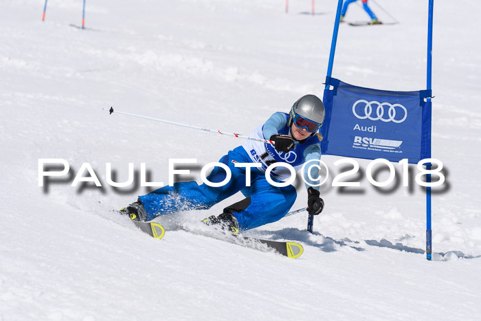 Ski Golf Masters 2018, Riesenslalom