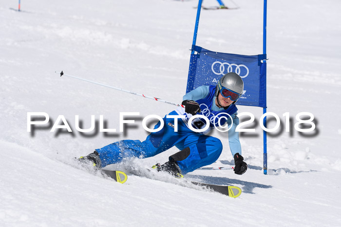 Ski Golf Masters 2018, Riesenslalom