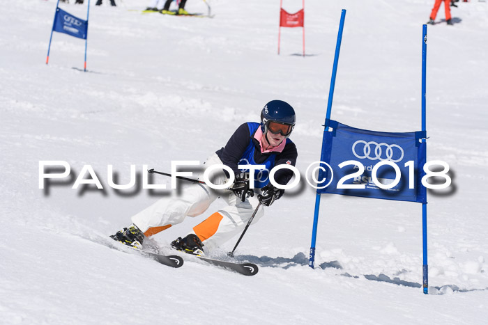 Ski Golf Masters 2018, Riesenslalom