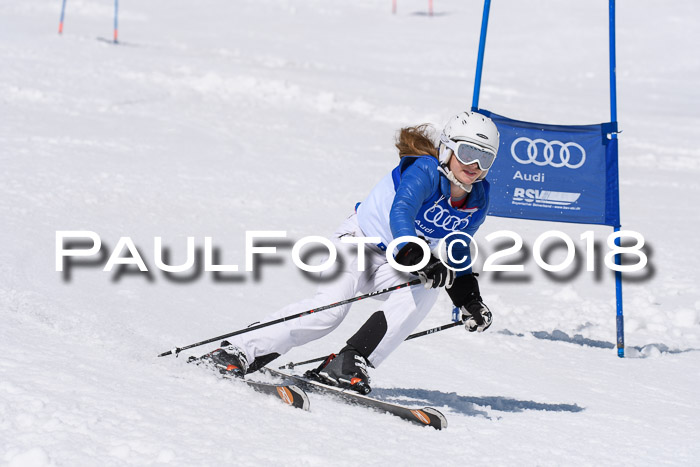 Ski Golf Masters 2018, Riesenslalom