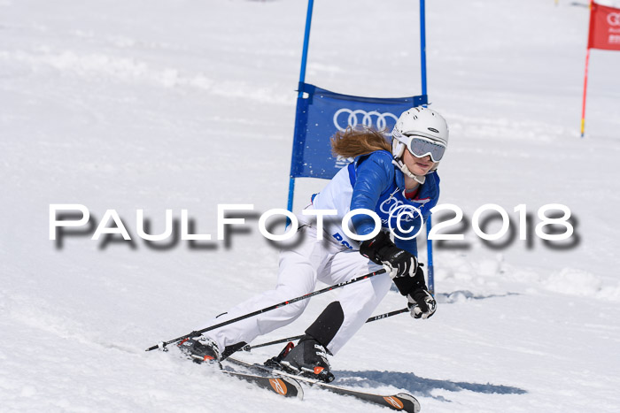 Ski Golf Masters 2018, Riesenslalom