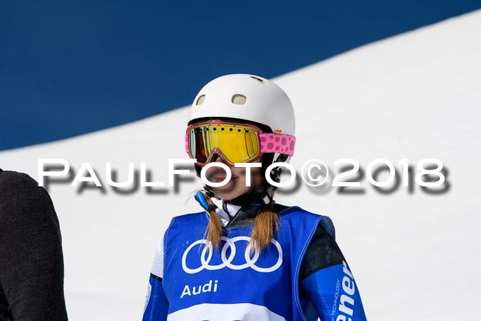 Ski Golf Masters 2018, Riesenslalom