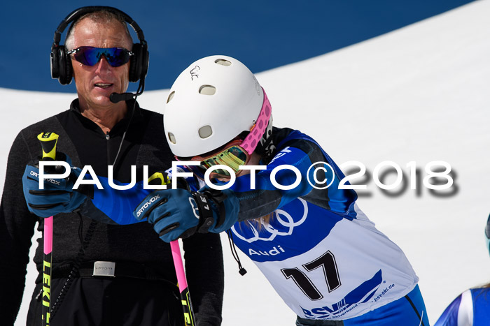 Ski Golf Masters 2018, Riesenslalom