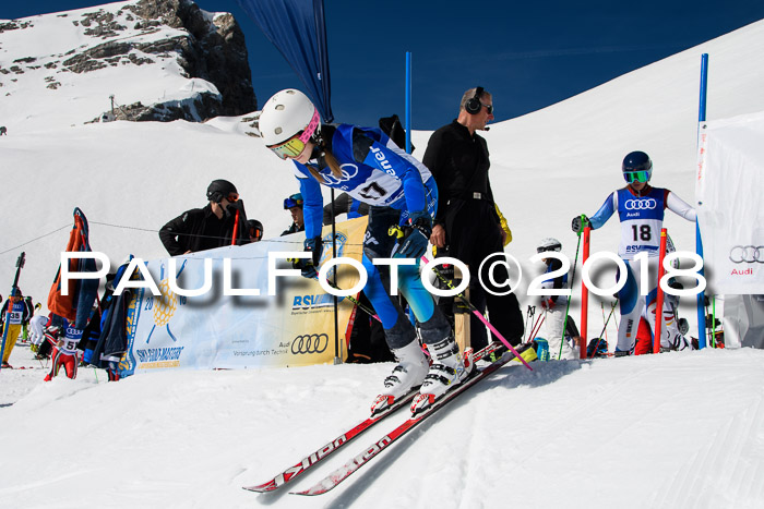 Ski Golf Masters 2018, Riesenslalom