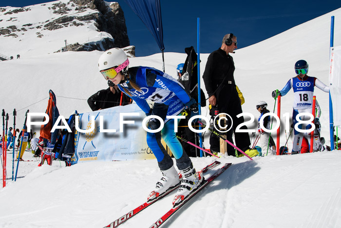 Ski Golf Masters 2018, Riesenslalom