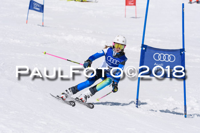 Ski Golf Masters 2018, Riesenslalom