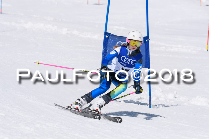 Ski Golf Masters 2018, Riesenslalom