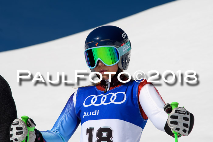 Ski Golf Masters 2018, Riesenslalom