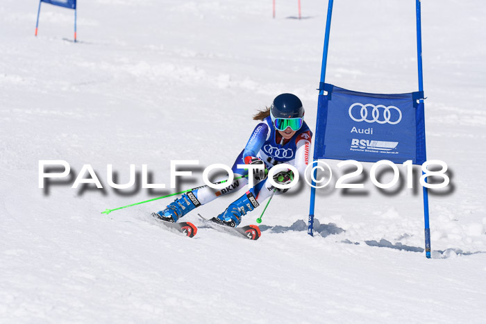 Ski Golf Masters 2018, Riesenslalom