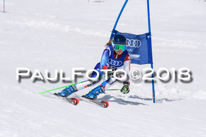 Ski Golf Masters 2018, Riesenslalom