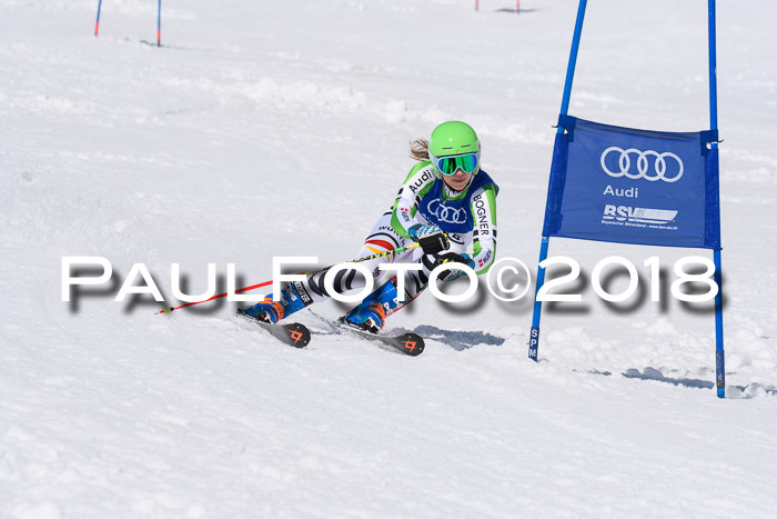 Ski Golf Masters 2018, Riesenslalom