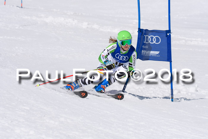 Ski Golf Masters 2018, Riesenslalom