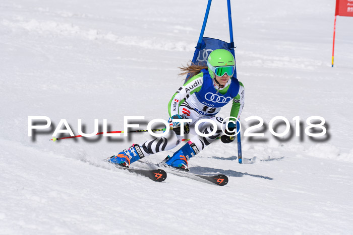 Ski Golf Masters 2018, Riesenslalom