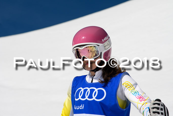 Ski Golf Masters 2018, Riesenslalom
