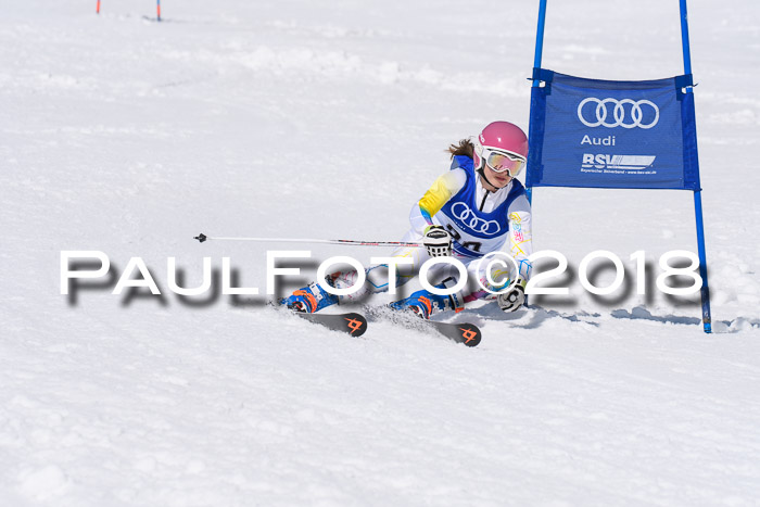 Ski Golf Masters 2018, Riesenslalom