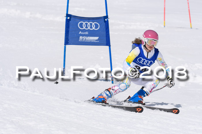 Ski Golf Masters 2018, Riesenslalom