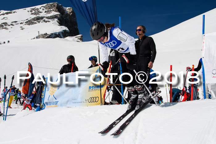 Ski Golf Masters 2018, Riesenslalom