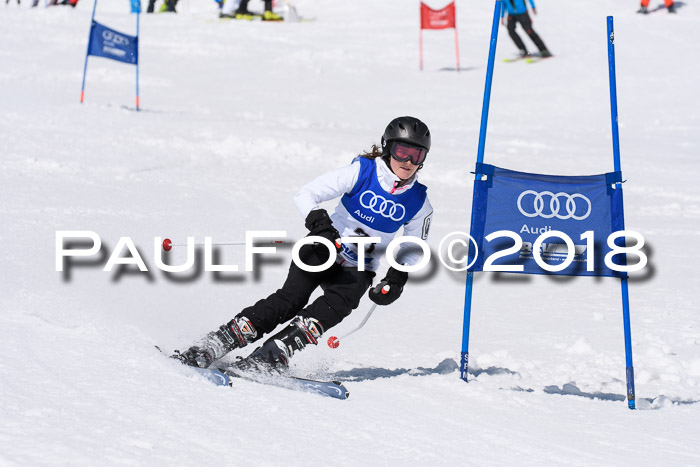 Ski Golf Masters 2018, Riesenslalom