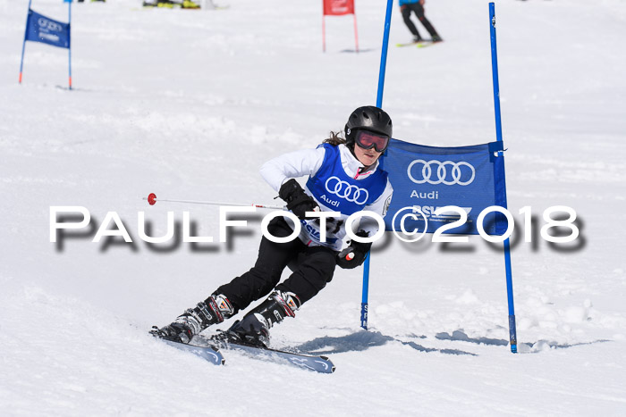 Ski Golf Masters 2018, Riesenslalom