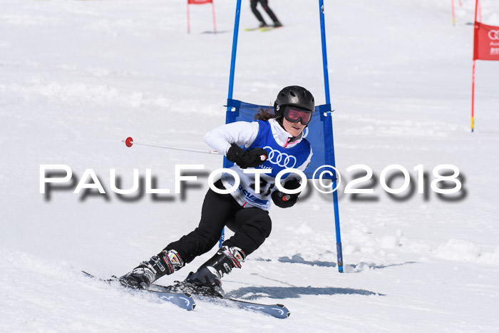 Ski Golf Masters 2018, Riesenslalom