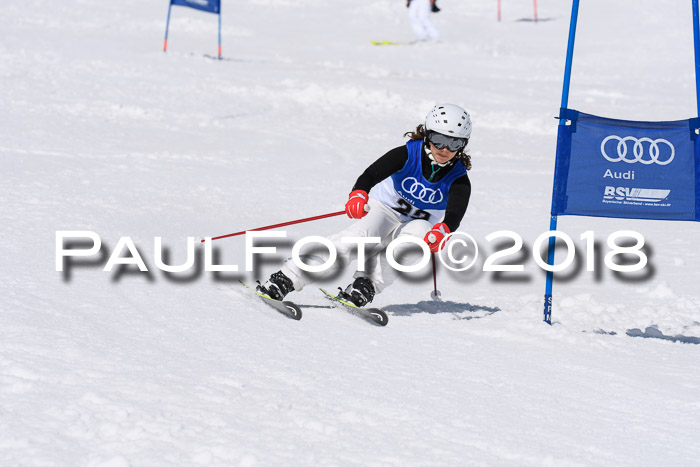 Ski Golf Masters 2018, Riesenslalom