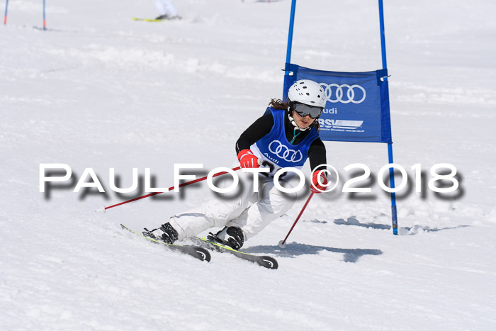 Ski Golf Masters 2018, Riesenslalom