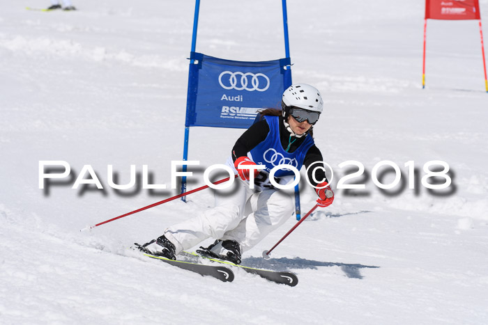 Ski Golf Masters 2018, Riesenslalom