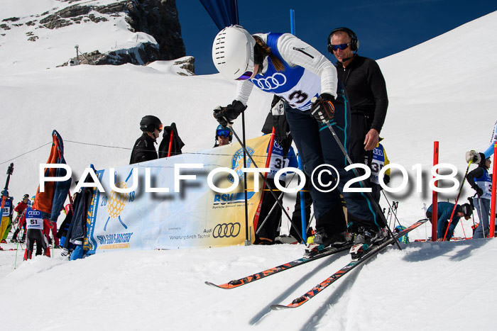 Ski Golf Masters 2018, Riesenslalom