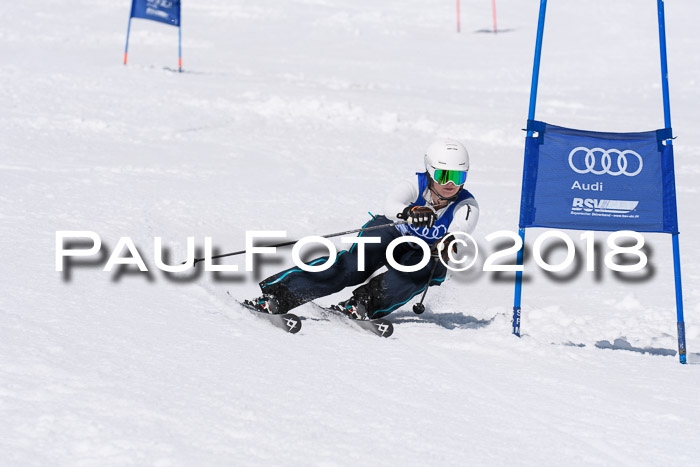 Ski Golf Masters 2018, Riesenslalom