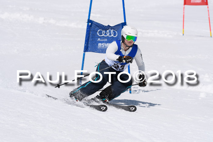 Ski Golf Masters 2018, Riesenslalom